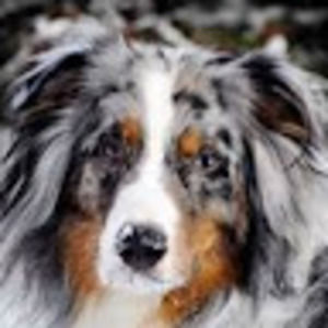 Meet your Posher, Lillian